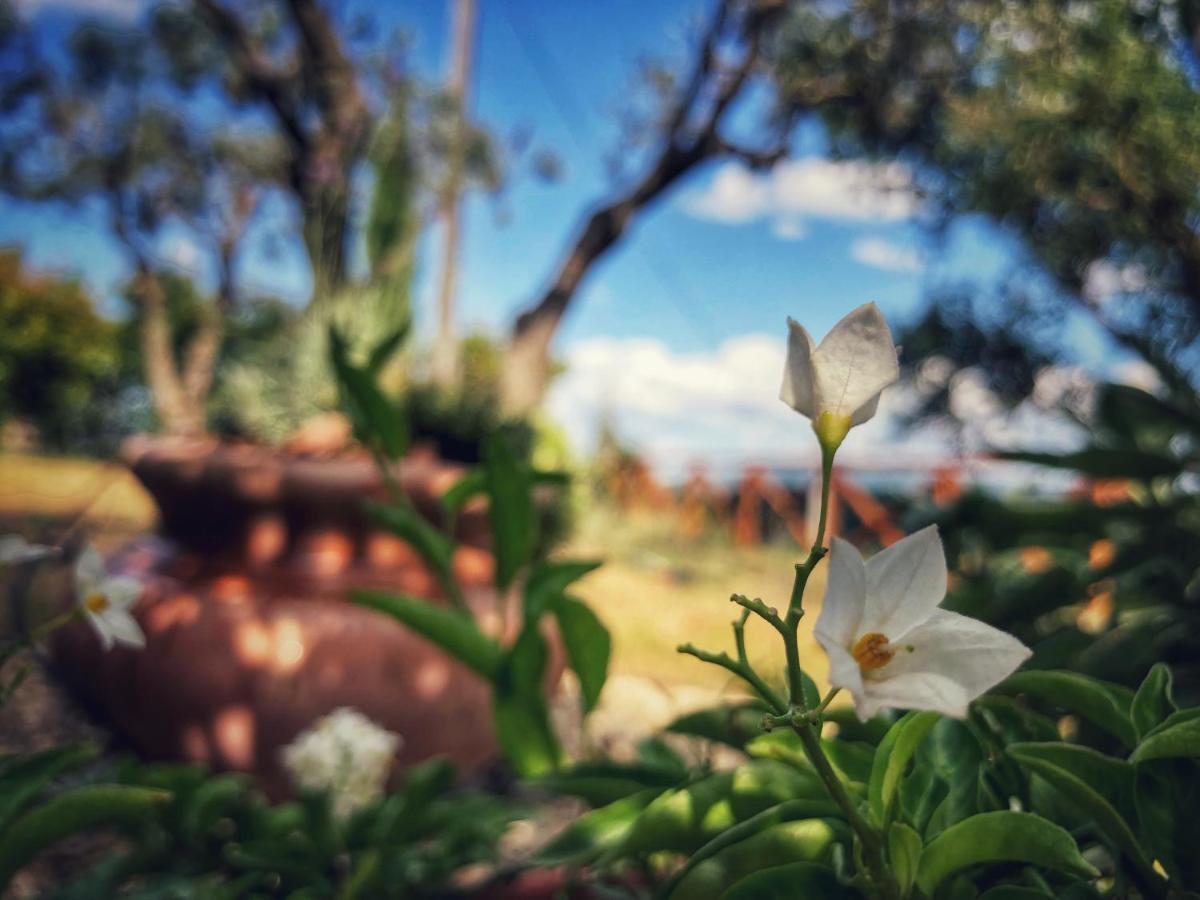 Grove Cottage: Immersed In Nature & Close To Town Città della Pieve المظهر الخارجي الصورة
